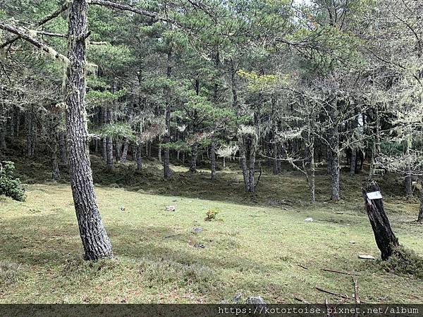 [台灣/台東] 2023.6 戒茂斯上嘉明湖: 好美的三天兩