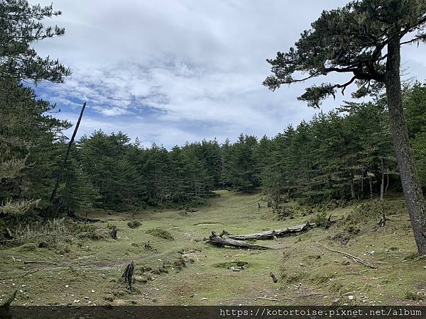 [台灣/台東] 2023.6 戒茂斯上嘉明湖: 好美的三天兩