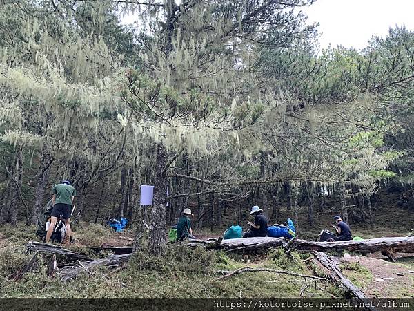 [台灣/台東] 2023.6 戒茂斯上嘉明湖: 好美的三天兩