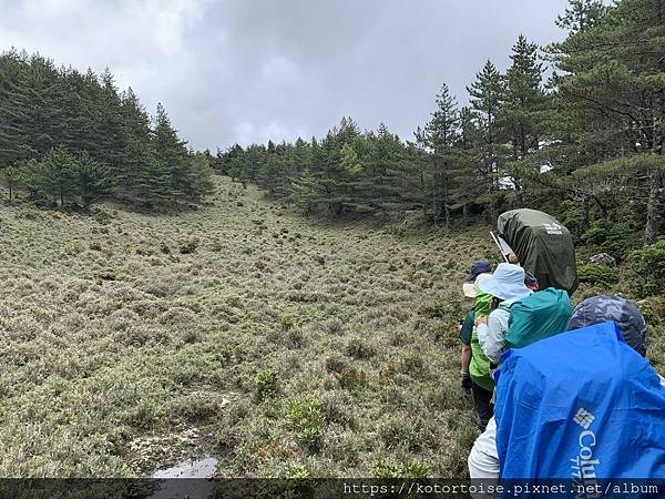 [台灣/台東] 2023.6 戒茂斯上嘉明湖: 好美的三天兩