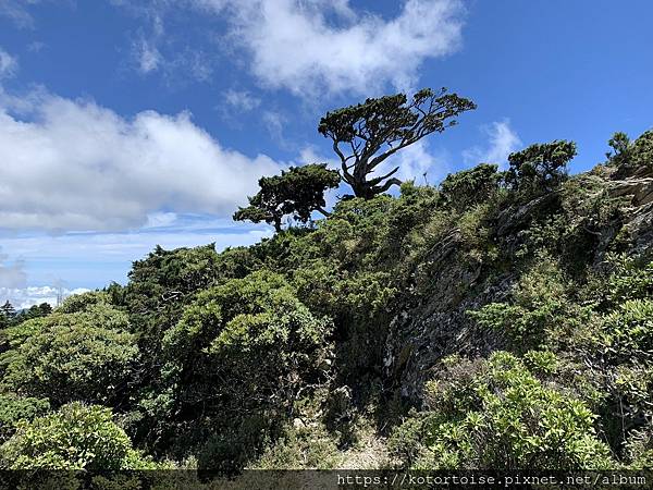 [台灣/台東] 2023.6 戒茂斯上嘉明湖: 美好的三天兩