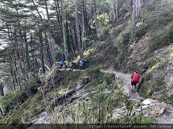 [台灣/台東] 2023.6 戒茂斯上嘉明湖: 美好的三天兩