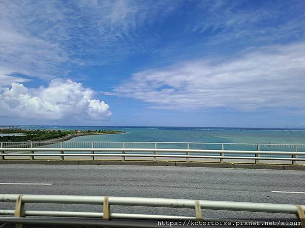 [日本沖繩] 2023.7 租車探訪美國村吃壽司