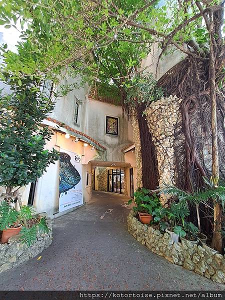 [日本沖繩] 2023.7 租車探訪美國村吃壽司