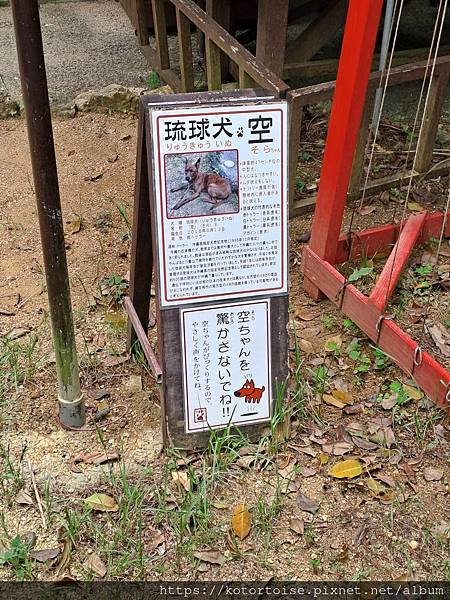 [日本沖繩] 2023.7 玉泉洞的千奇百怪鐘乳石