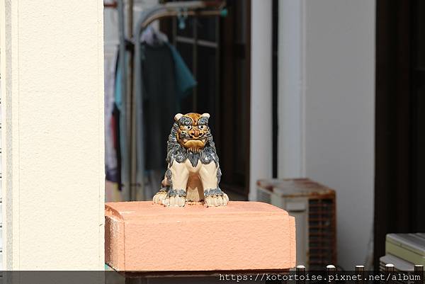 [日本沖繩] 2023.7 一戶建，泳池別墅，還是市區酒店 