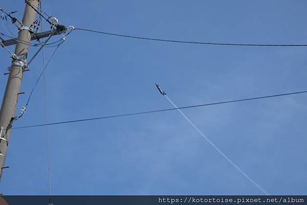 [日本沖繩] 2023.7 一戶建，泳池別墅，還是市區酒店 