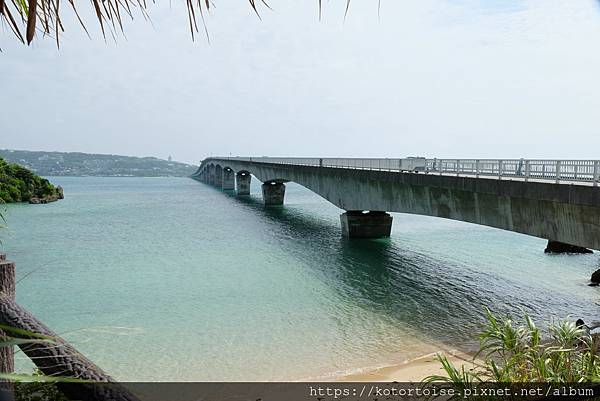 [日本沖繩] 2023.7 探訪古宇利島: 大橋，沙灘，海洋