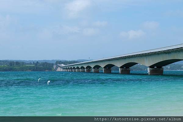 [日本沖繩] 2023.7 探訪古宇利島: 大橋，沙灘，海洋