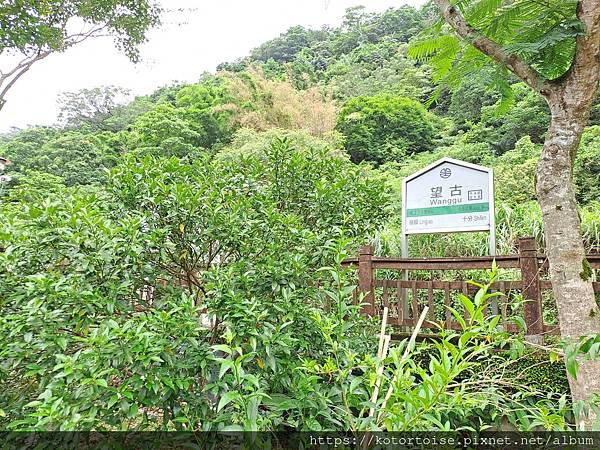 [台灣/新北] 2023.7 人性空間 - 望古棧；再遊望古