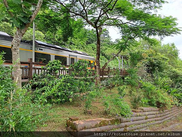 [台灣/新北] 2023.7 人性空間 - 望古棧；再遊望古