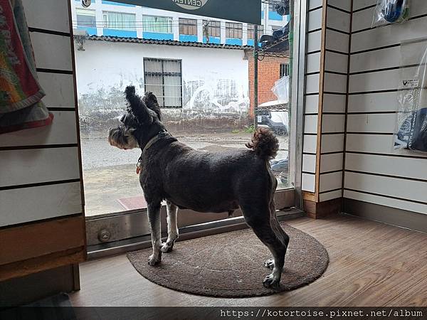 [沙發上的小幸福] 2023.8 瘋潛水