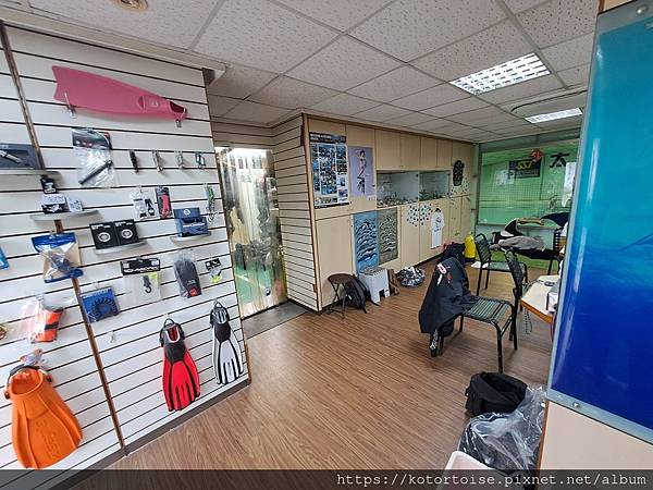 [沙發上的小幸福] 2023.8 瘋潛水