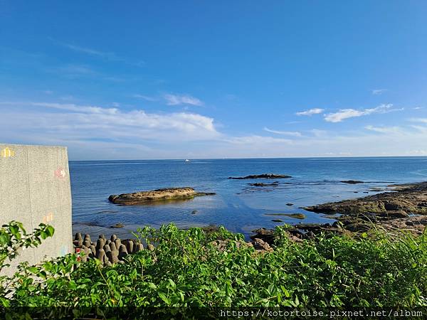 [沙發上的小幸福] 2023.8 瘋潛水