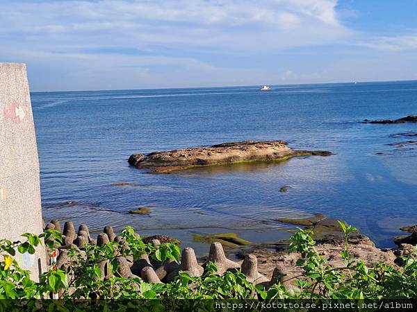 [沙發上的小幸福] 2023.8 瘋潛水