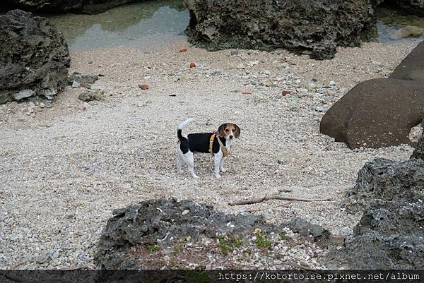 [台灣/屏東] 2023.9 觀海: 後壁湖 -> 白沙灣 