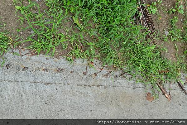 [台灣/屏東] 2023.9 未盡的旅程: 阿朗壹古道