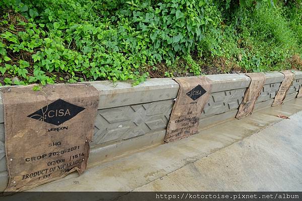 [台灣/屏東] 2023.9 未盡的旅程: 阿朗壹古道