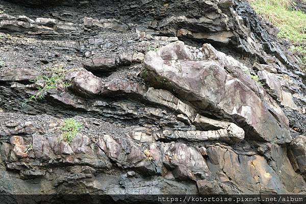 [台灣/屏東] 2023.9 未盡的旅程: 阿朗壹古道