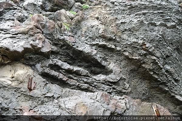 [台灣/屏東] 2023.9 未盡的旅程: 阿朗壹古道