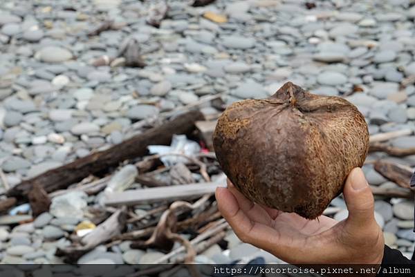 [台灣/屏東] 2023.9 未盡的旅程: 阿朗壹古道