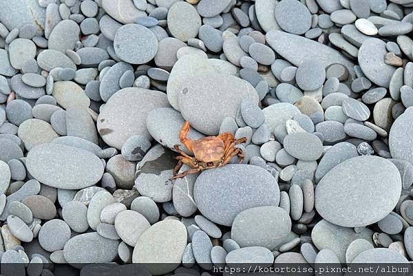 [台灣/屏東] 2023.9 未盡的旅程: 阿朗壹古道