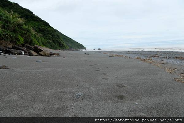 [台灣/屏東] 2023.9 未盡的旅程: 阿朗壹古道