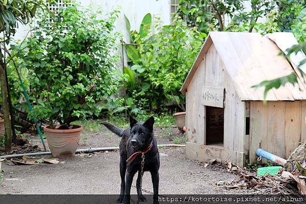[台灣/屏東] 2023.9 未盡的旅程: 阿朗壹古道