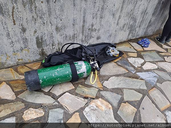 [沙發上的小幸福] 2023.8 瘋潛水