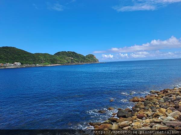 [沙發上的小幸福] 2023.8 瘋潛水