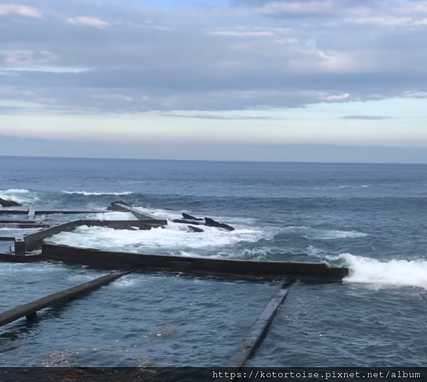 潛水 4.png 潛水 4.png