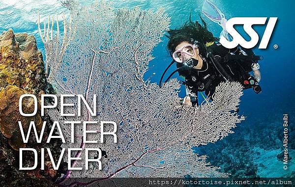 [沙發上的小幸福] 2023.8 瘋潛水