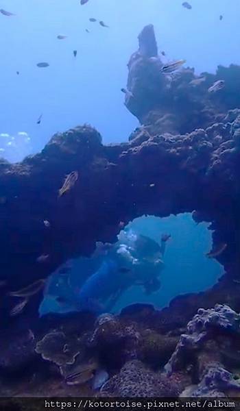 螢幕擷取畫面 2023-09-23 094713-2.jpg 螢幕擷取畫面 2023-09-23 094713-2.jpg