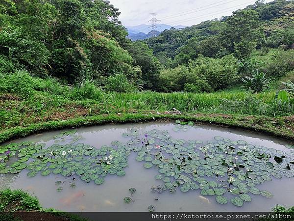 [台灣/新北] 2023.10 銀河越嶺: 銀河洞到貓空纜車