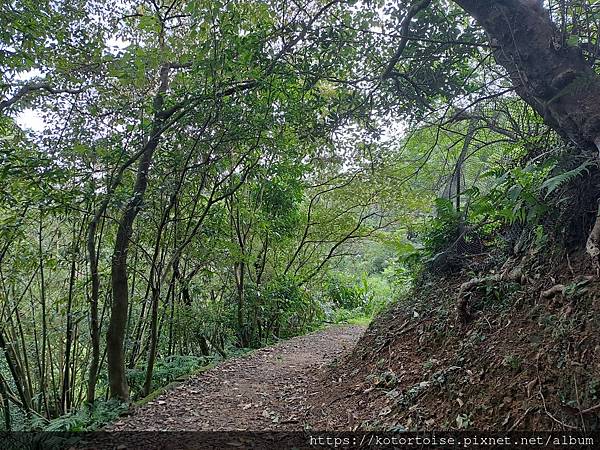 [台灣/新北] 2023.10 銀河越嶺: 銀河洞到貓空纜車