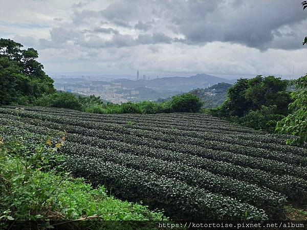 [台灣/新北] 2023.10 銀河越嶺: 銀河洞到貓空纜車