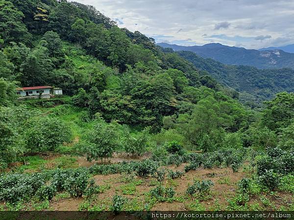 [台灣/新北] 2023.10 銀河越嶺: 銀河洞到貓空纜車