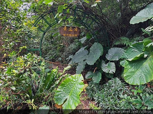 [台灣/新北] 2023.10 銀河越嶺: 銀河洞到貓空纜車