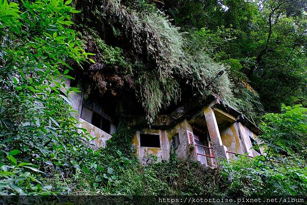 [台灣/新北] 2023.10 銀河越嶺: 銀河洞到貓空纜車