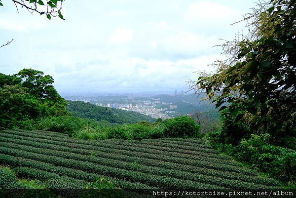 [台灣/新北] 2023.10 銀河越嶺: 銀河洞到貓空纜車