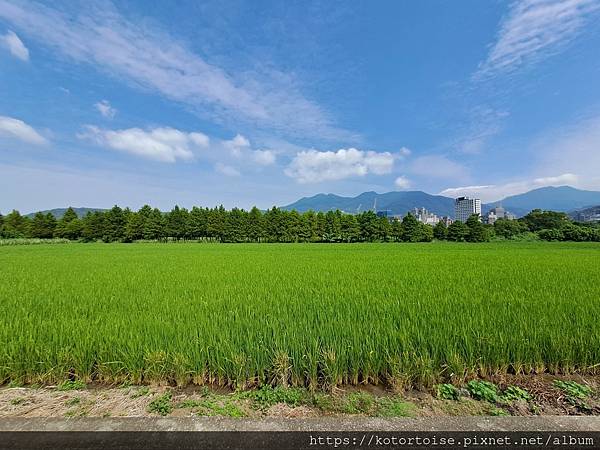 [台灣/台北] 2023.10 北投農禪寺