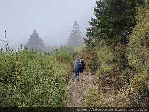 [台灣/南投花蓮] 2023.10 淒風苦雨的奇萊主北行 (