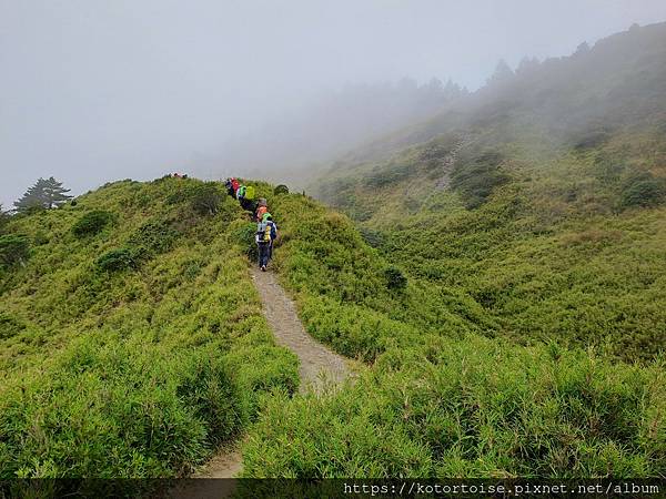 [台灣/南投花蓮] 2023.10 淒風苦雨的奇萊主北行 (