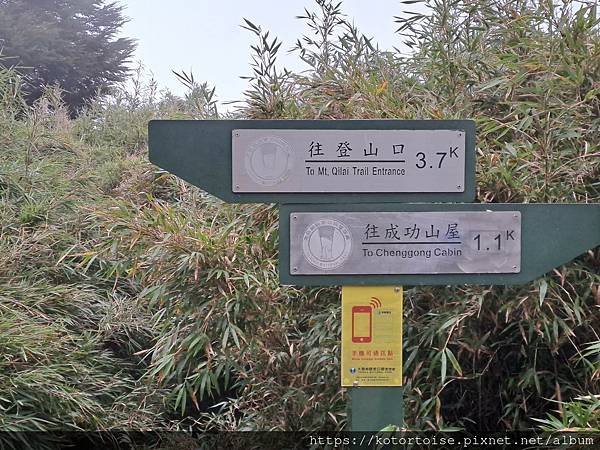 [台灣/南投花蓮] 2023.10 淒風苦雨的奇萊主北行 (