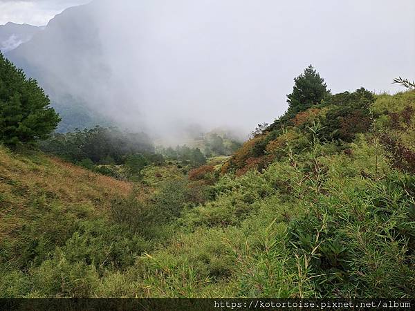 [台灣/南投花蓮] 2023.10 淒風苦雨的奇萊主北行 (