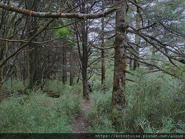 [台灣/南投花蓮] 2023.10 淒風苦雨的奇萊主北行 (