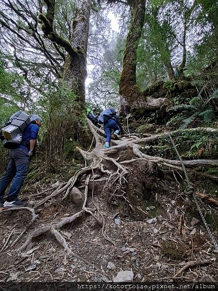 [台灣/南投花蓮] 2023.10 淒風苦雨的奇萊主北行 (