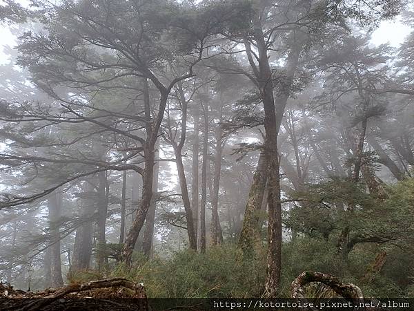 [台灣/南投花蓮] 2023.10 淒風苦雨的奇萊主北行 (