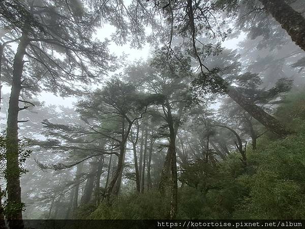 [台灣/南投花蓮] 2023.10 淒風苦雨的奇萊主北行 (