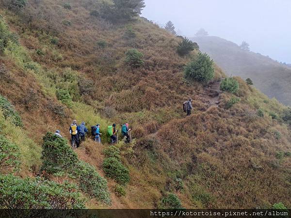 [台灣/南投花蓮] 2023.10 淒風苦雨的奇萊主北行 (